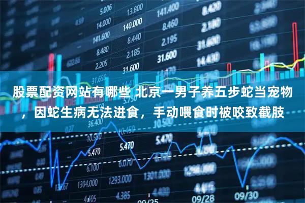 股票配资网站有哪些 北京一男子养五步蛇当宠物，因蛇生病无法进食，手动喂食时被咬致截肢